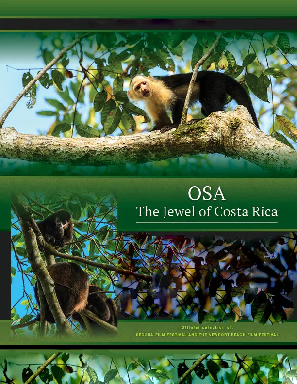     Osa: The Jewel of Costa Rica